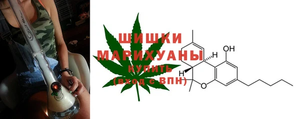 PSILOCYBIN Белокуриха