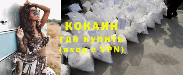 PSILOCYBIN Белокуриха