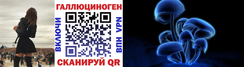 mega ONION  Ворсма  Псилоцибиновые грибы Psilocybine cubensis 